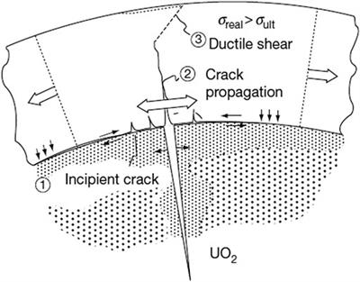 3-Dimensional Multiphysics Modeling of Behaviors of Pressurized Water Reactor Fuel Rods With Missing Pellet Surface